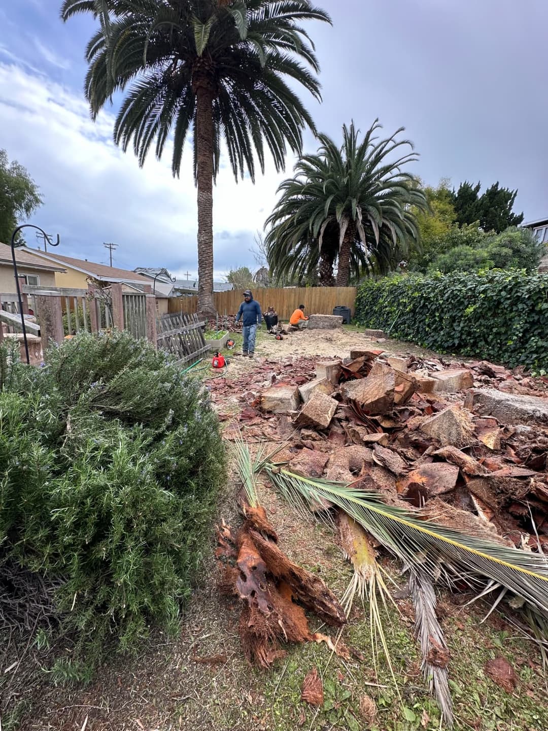 Front yard cleanup and stone removal before landscape redesign